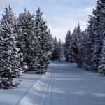 best-cross-country-skiing-trails-bighorns-wyoming