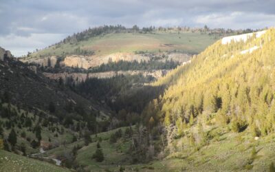 Big Adventure Awaits You in the Bighorn Mountains