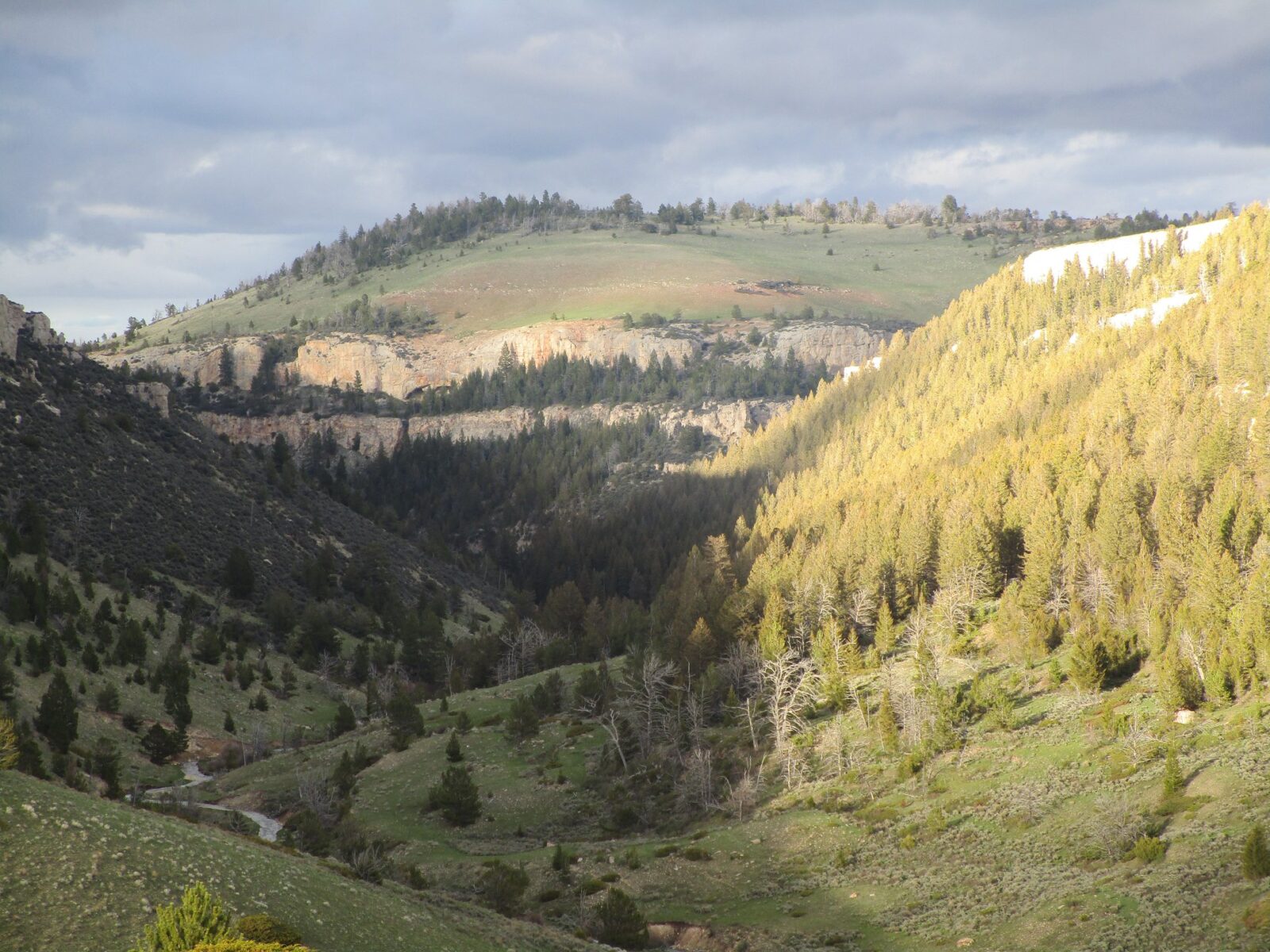 Big Adventure Awaits You in the Bighorn Mountains