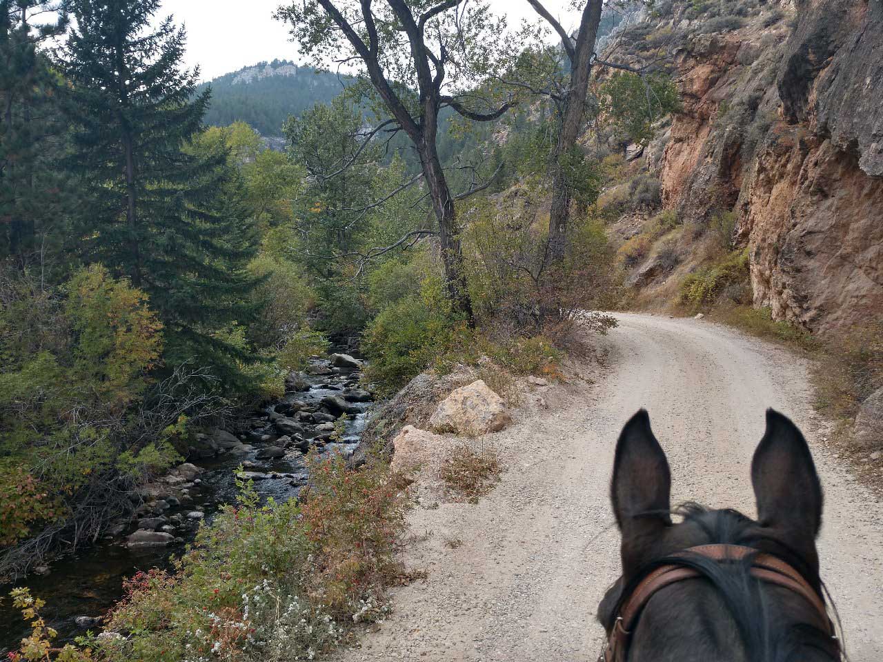 crazy-woman-canyon-tour-wyoming