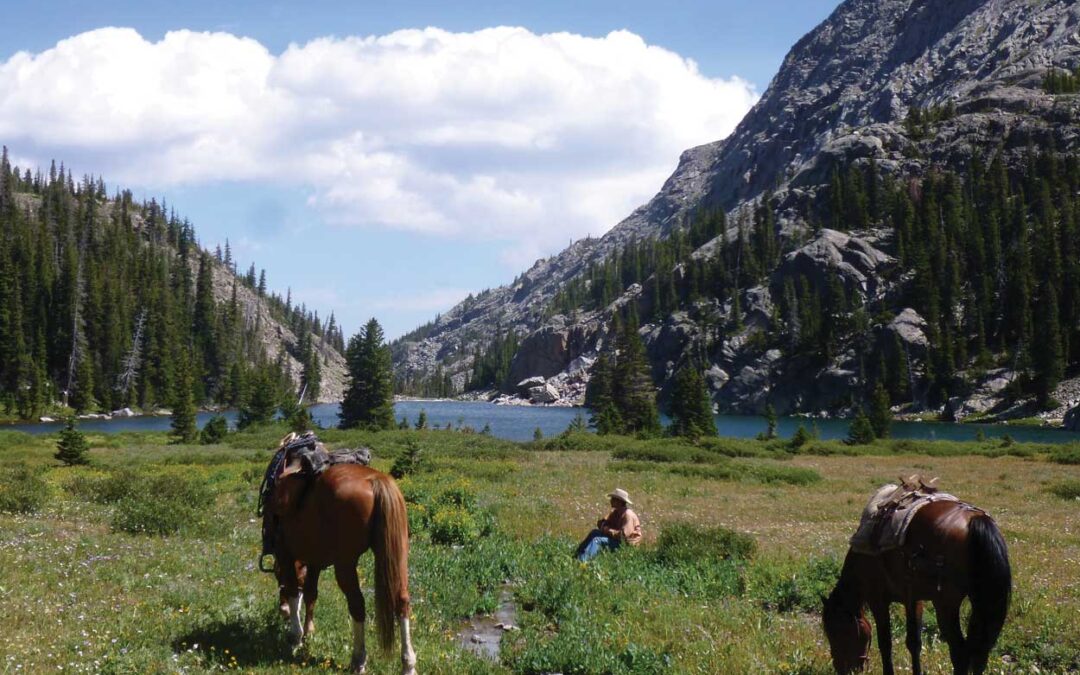 Get A Horseback