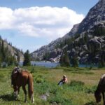 Discover Horseback Riding Wyoming in Buffalo WY