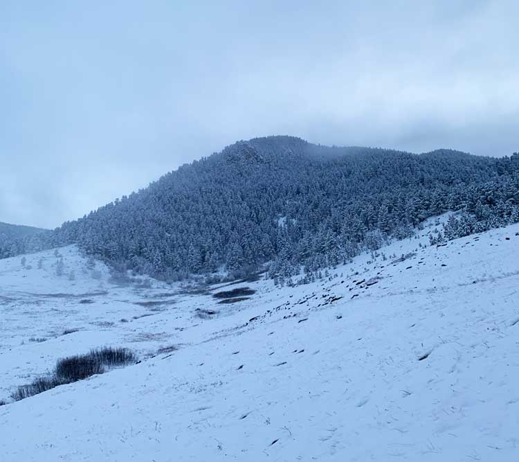 Snow covered mountain in Buffalo Wyoming