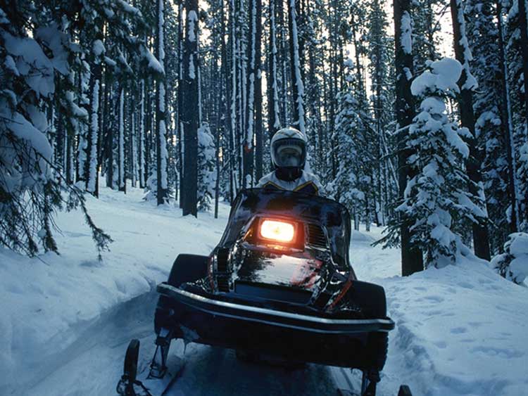 Person snowmobiling through Bighorn Mountains