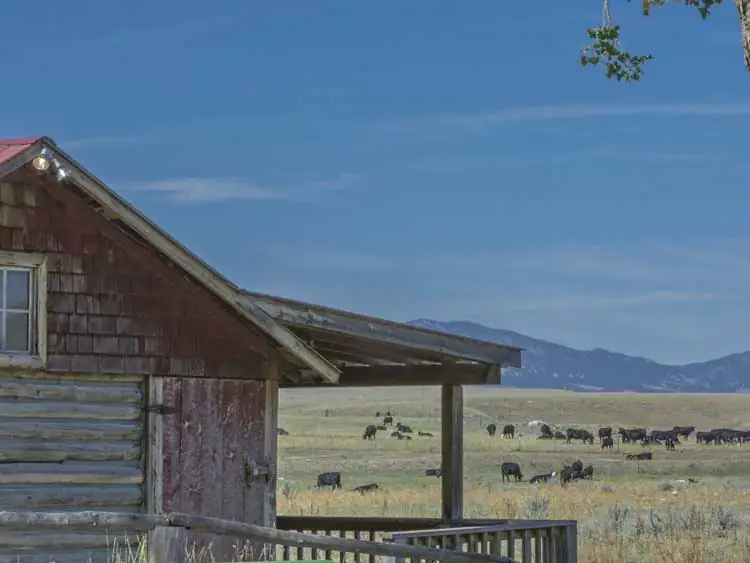 TA Guest Ranch in Buffalo Wyoming
