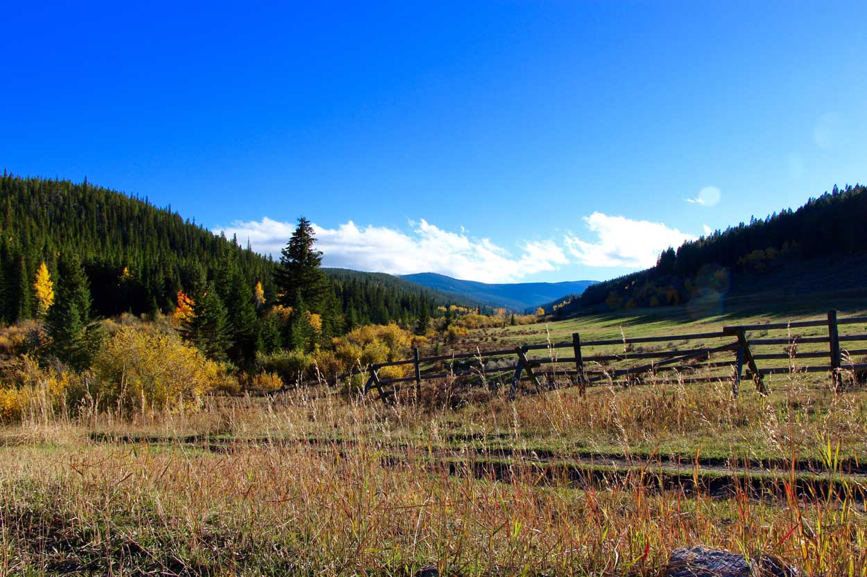 Fall landscape of Buffalo Wyoming