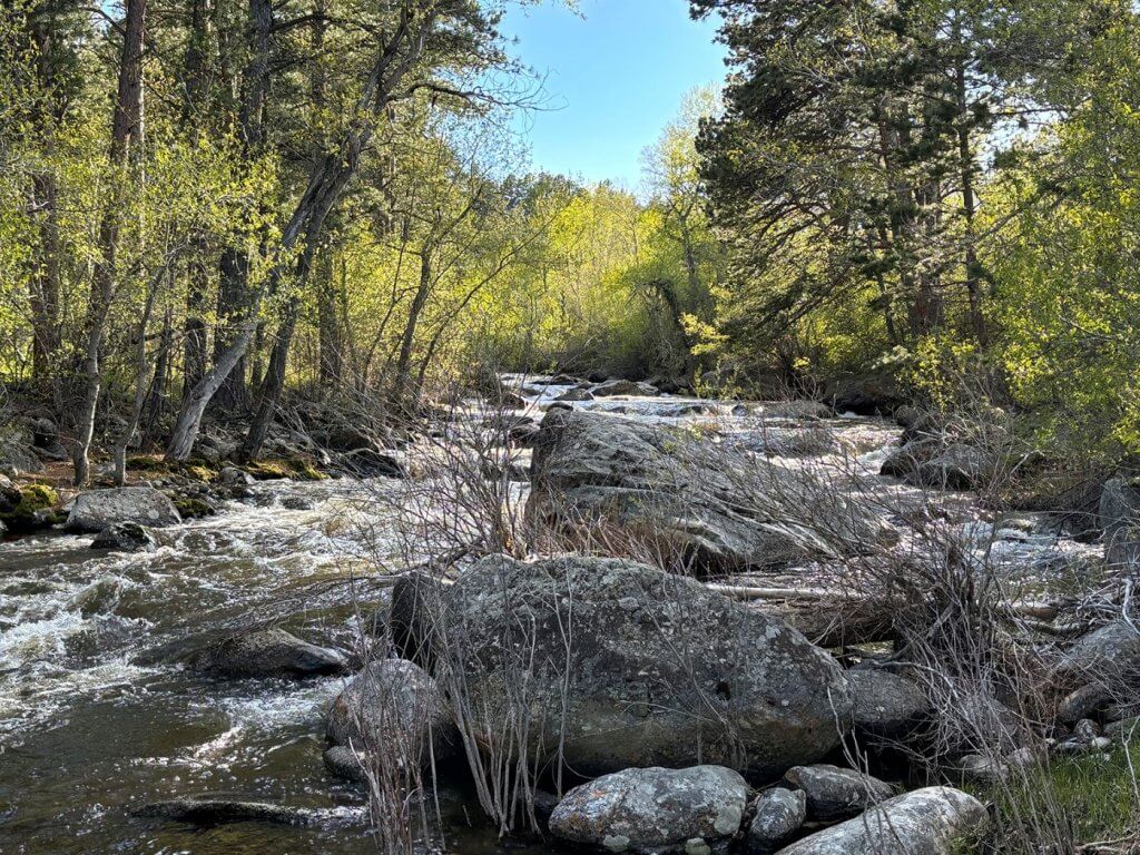 A scenic view of Clear Creek in Buffalo, Wyoming, with rushing waters and lush greenery, offering excellent conditions for fly fishing Buffalo, Wyoming.