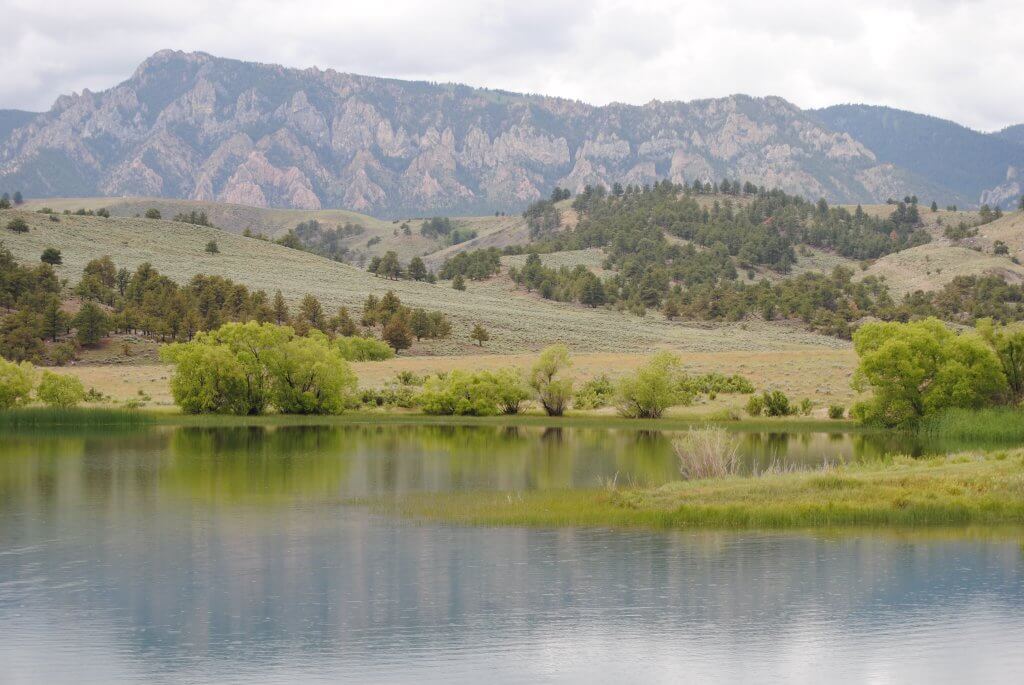 A peaceful view of Muddy Guard Reservoir in the Bighorn Mountains, a prime spot for trout fishing near Buffalo, Wyoming.