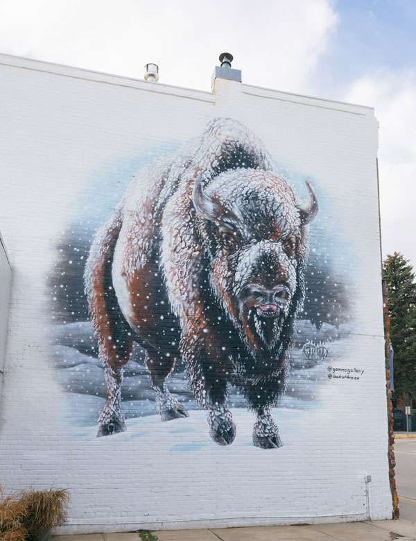 The Murals of Downtown Buffalo