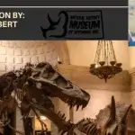 Geology and Dinosaurs of Johnson County