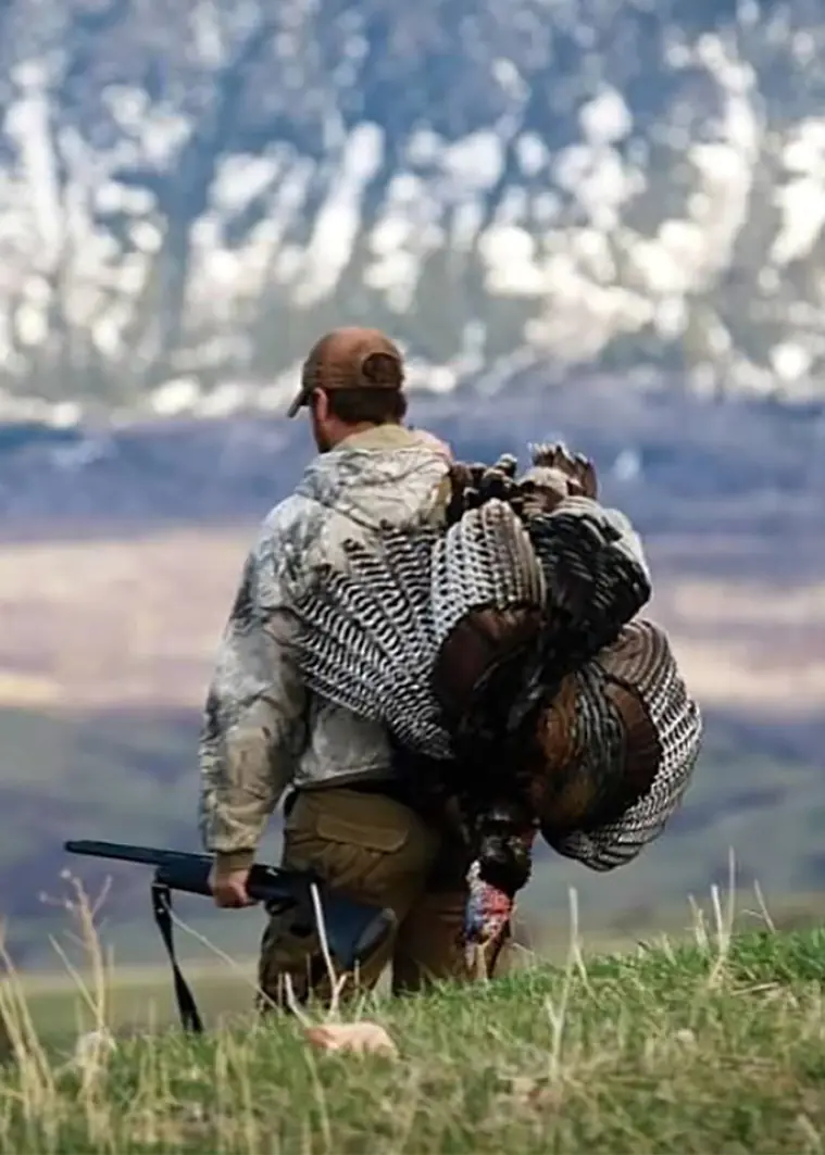 Wyoming Hunting