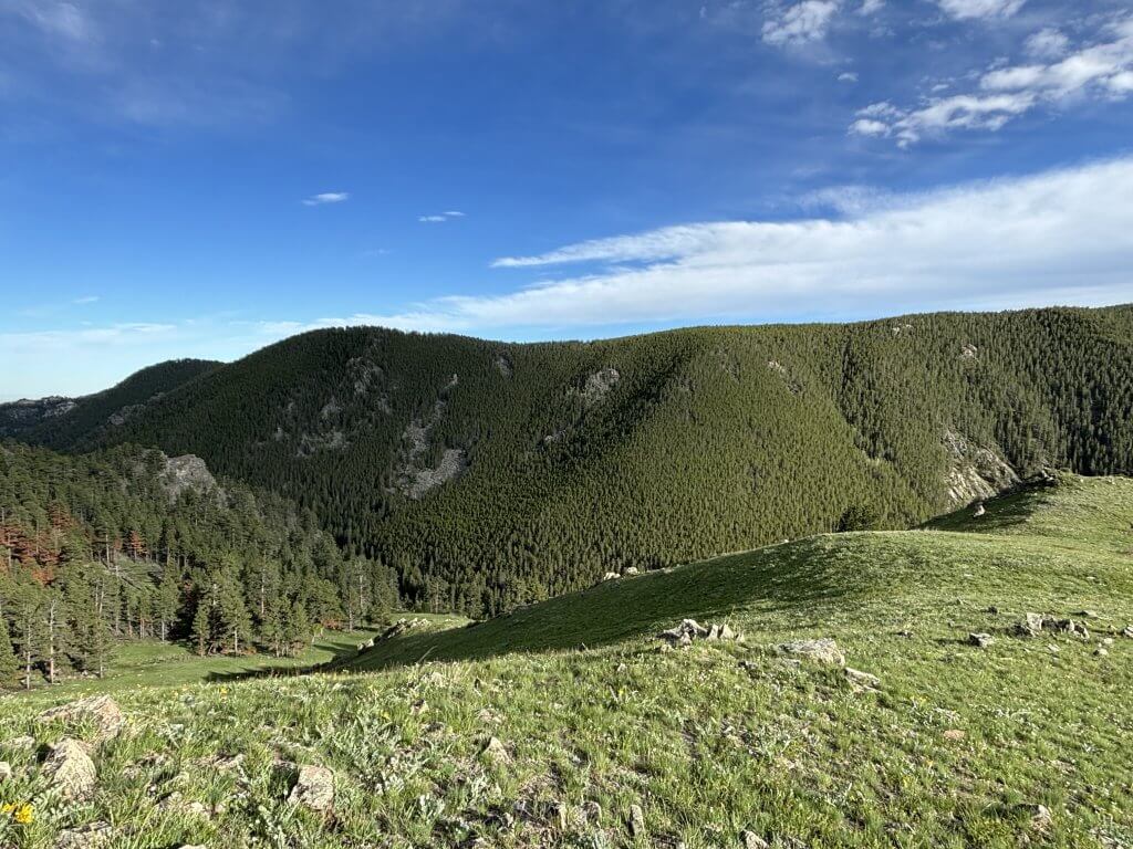 View from the Brush Creek Trail, one of the scenic hikes near Buffalo, WY, with rolling hills and forested valleys leading down to Clear Creek.