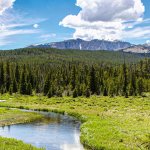 Scenic view of Clear Creek Trail, one of the best places to hike in Buffalo, Wyoming, featuring lush greenery and the foothills of the Bighorn Mountains.