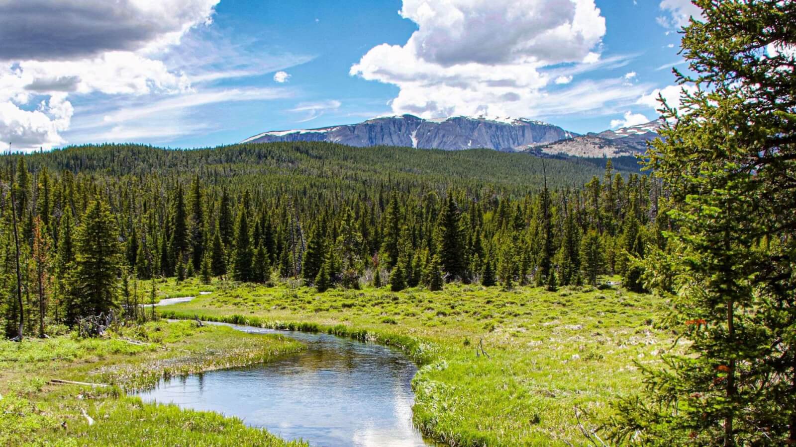 Scenic view of Clear Creek Trail, one of the best places to hike in Buffalo, Wyoming, featuring lush greenery and the foothills of the Bighorn Mountains.