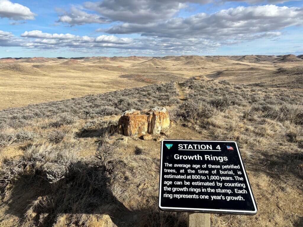 Informative sign along the hiking trail at Dry Creek Petrified Tree Environmental Education Area, with views of the petrified tree stump and surrounding landscape near Buffalo, WY.