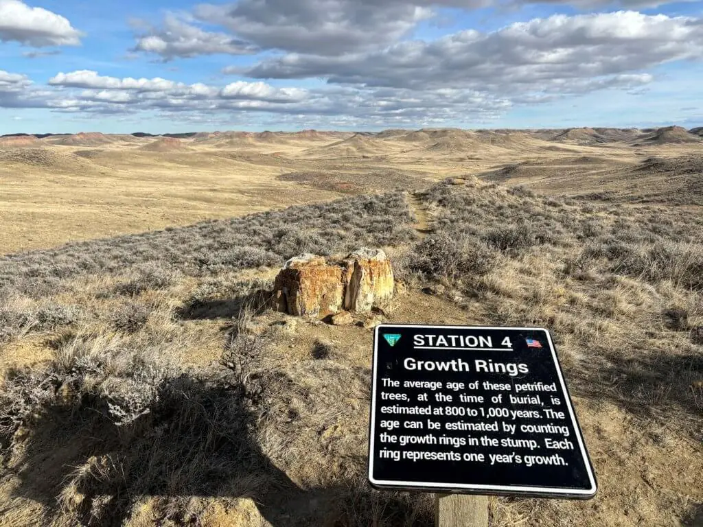 Informative sign along the hiking trail at Dry Creek Petrified Tree Environmental Education Area, with views of the petrified tree stump and surrounding landscape near Buffalo, WY.