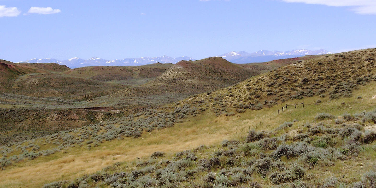 Dry Creek Petrified Tree Environmental Area