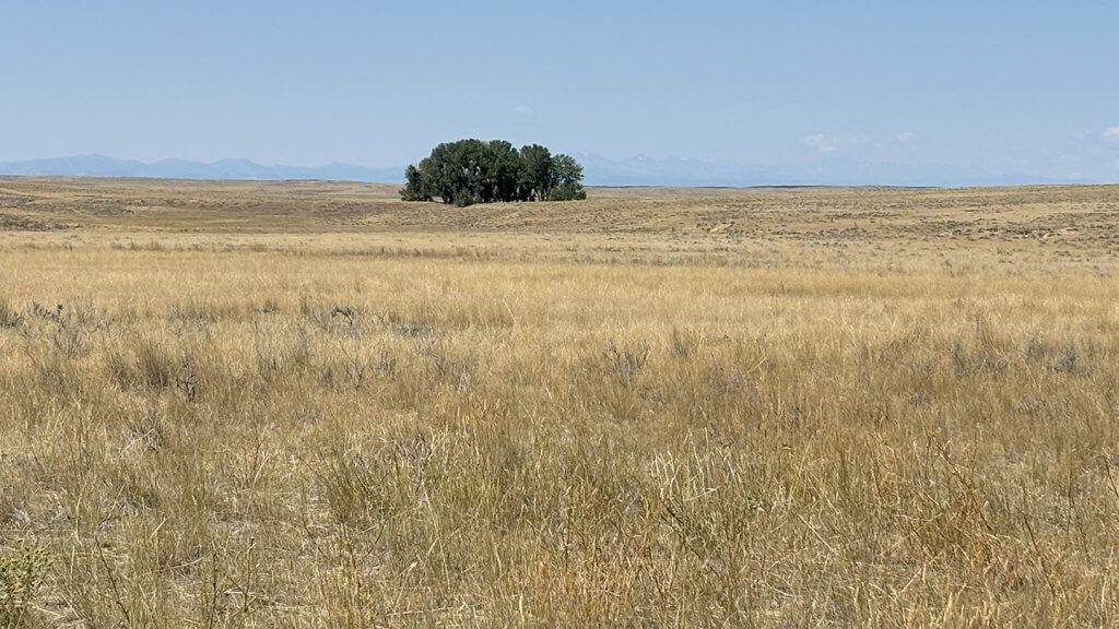 The Bozeman Trail
