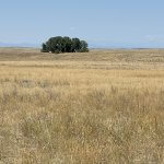 The Bozeman Trail