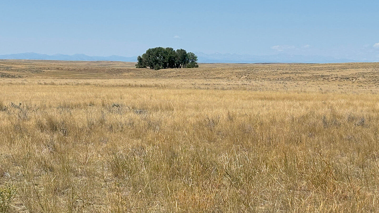 The Bozeman Trail The Bozeman Trail