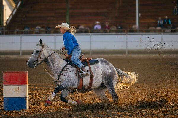 Buffalo & Kaycee Wyoming Rodeos | Johnson County Rodeo Events & Guide