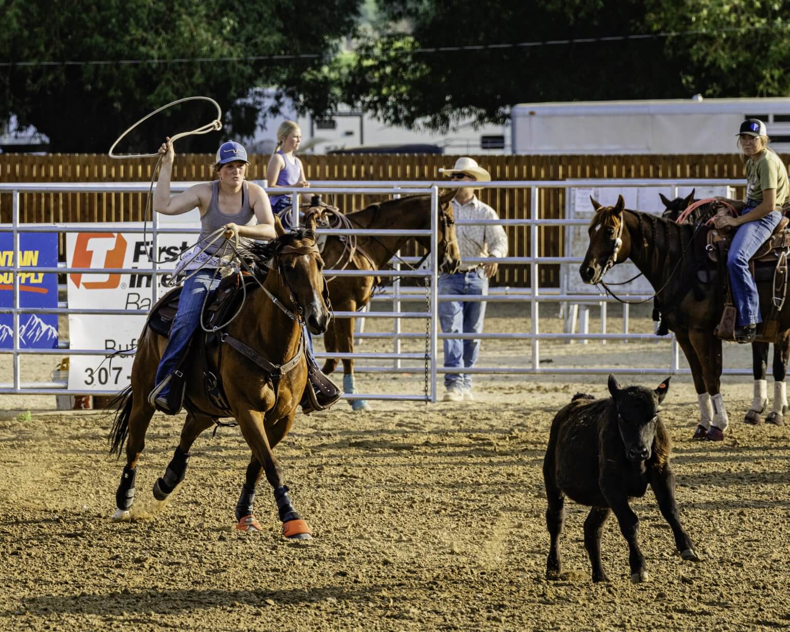 Breakaway Ropes Buffalo & Kaycee Wyoming Rodeos | Johnson County Rodeo Events & Guide