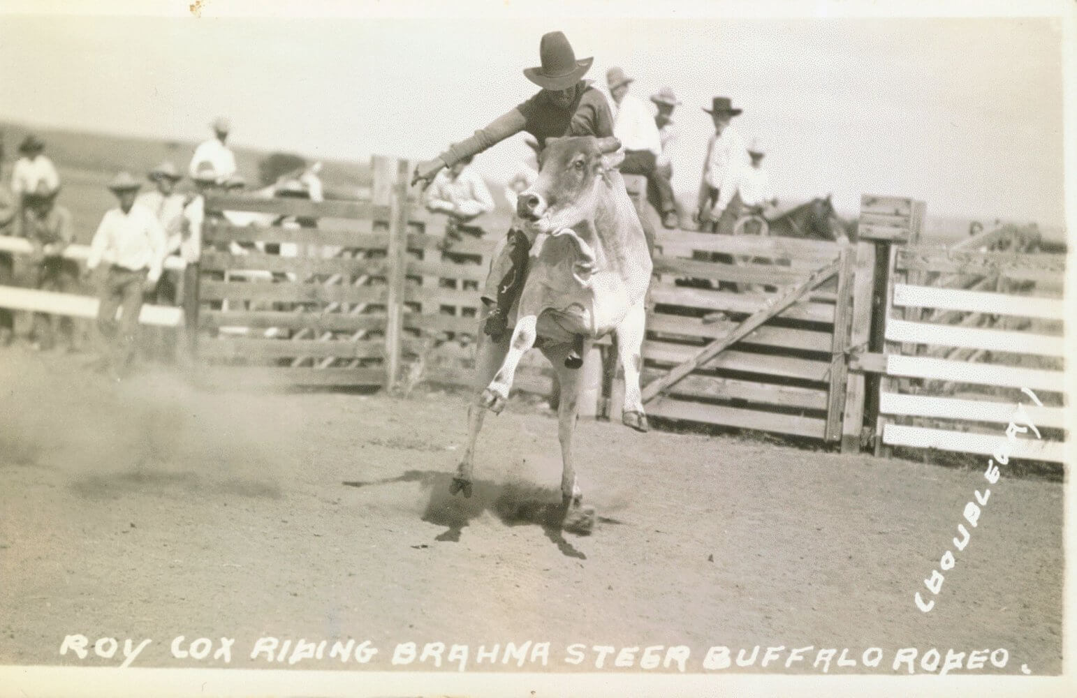 Classic Rodeo Characters Buffalo & Kaycee Wyoming Rodeos | Johnson County Rodeo Events & Guide