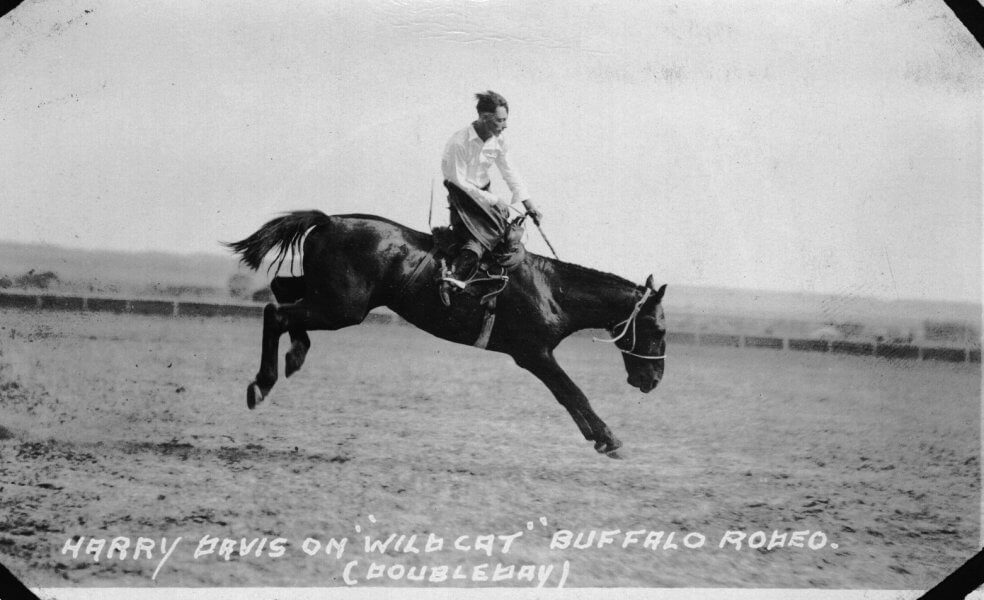 Buffalo & Kaycee Wyoming Rodeos | Johnson County Rodeo Events & Guide