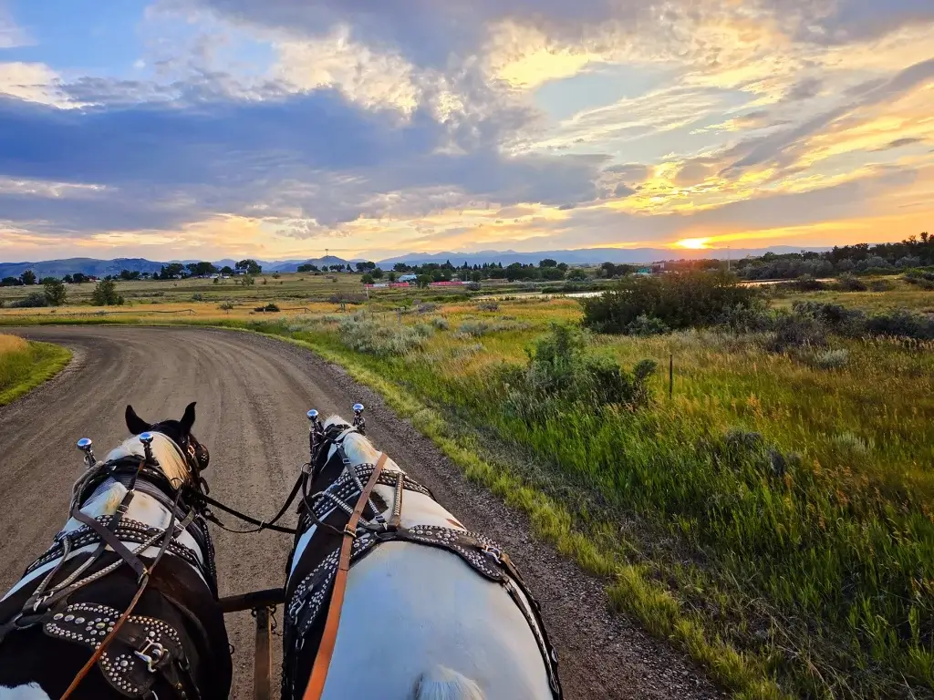 Moon Hitch Wagon Tours Moon Hitch Wagon Tours