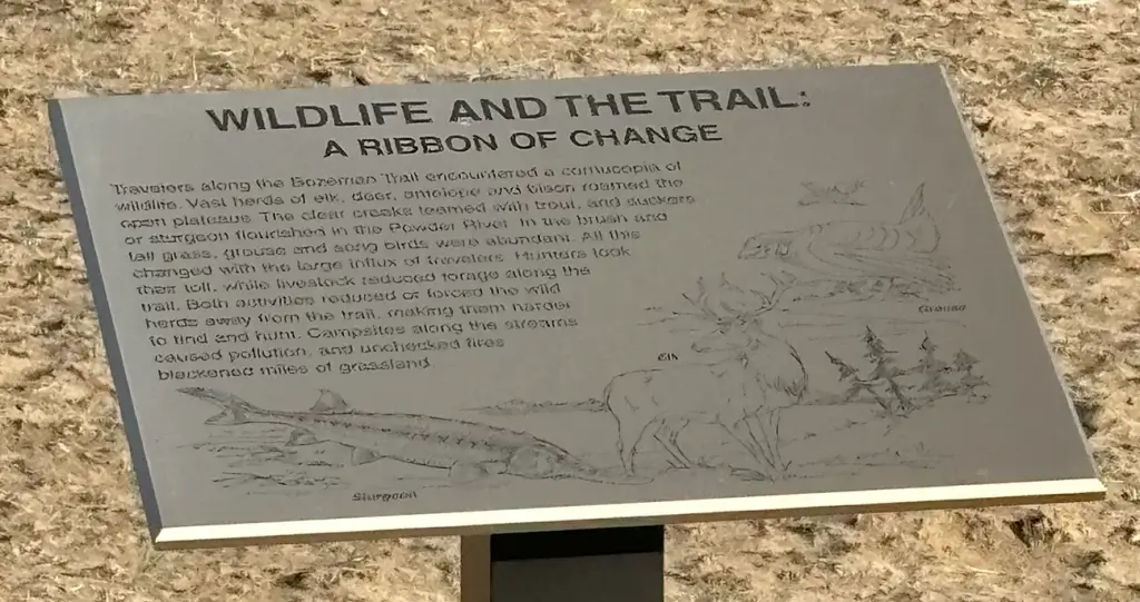 The Bozeman Trail