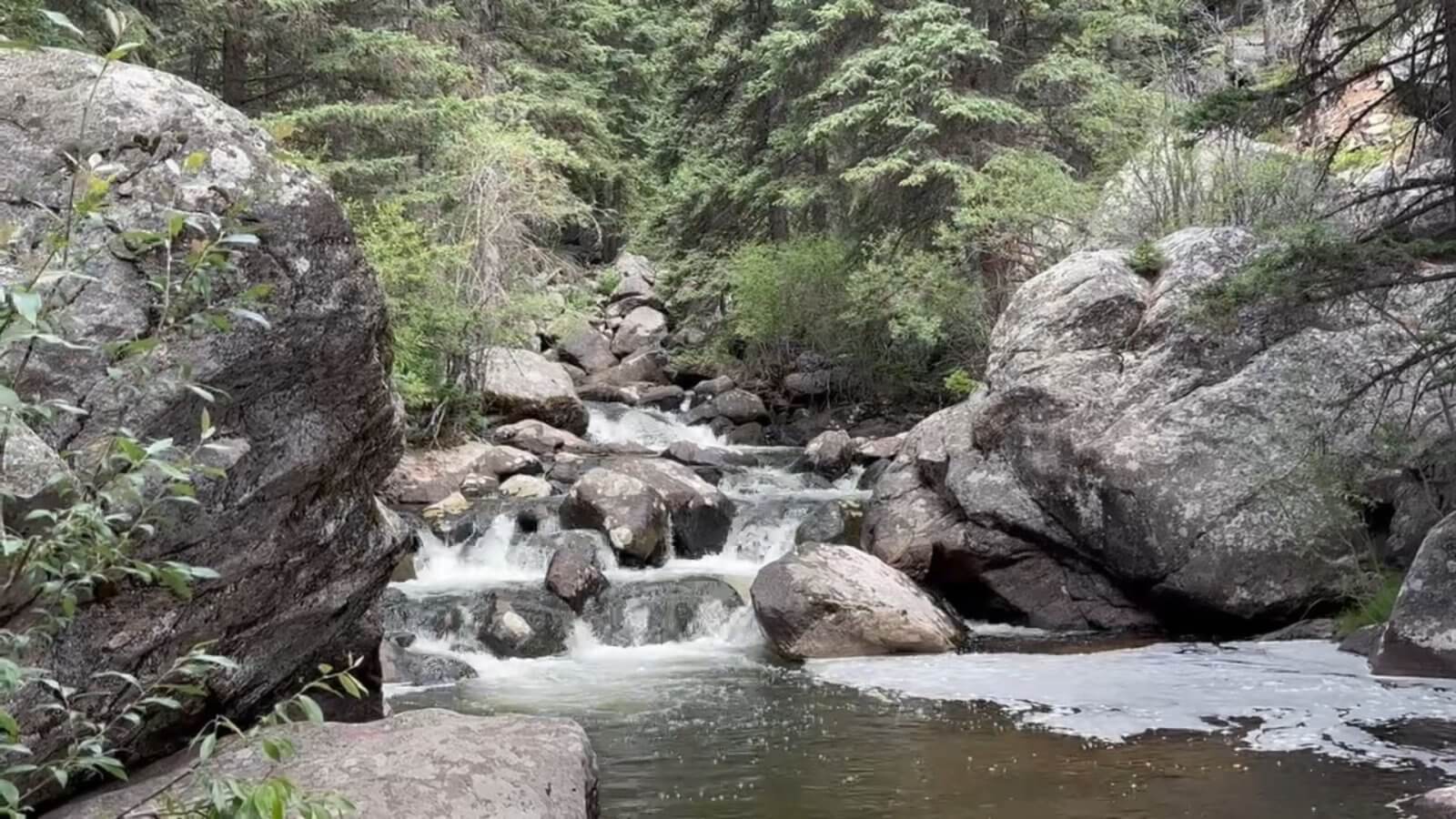Origins of Crazy Woman Canyon Creek running through boulders and forest in Crazy Woman Canyon, evoking local legends of the Crazy Woman spirit.