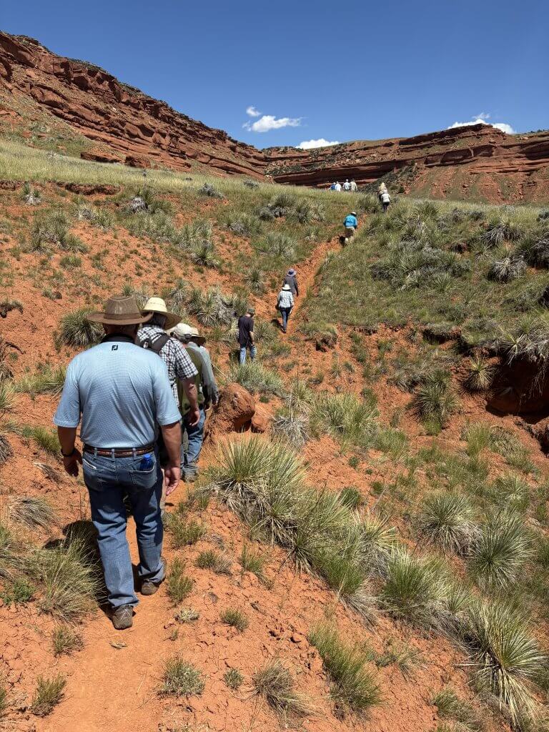 Hole in the Wall Popular hiking activity near Hole in the Wall showing group of visitors exploring red rock canyon with native desert grasses and cliff formations
