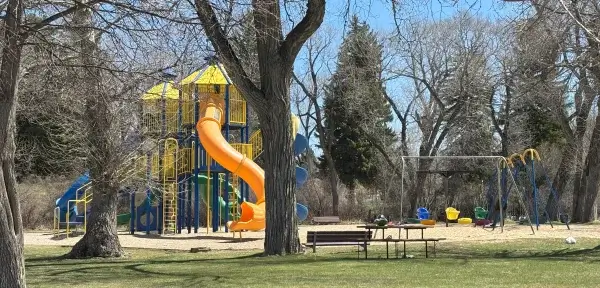 20 Free and Budget-Friendly Things to Do in Buffalo, Wyoming Bright playground with tall slides and swings at Buffalo’s Washington Park, surrounded by green grass and trees.