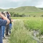 Bird Watching Spots in Johnson County