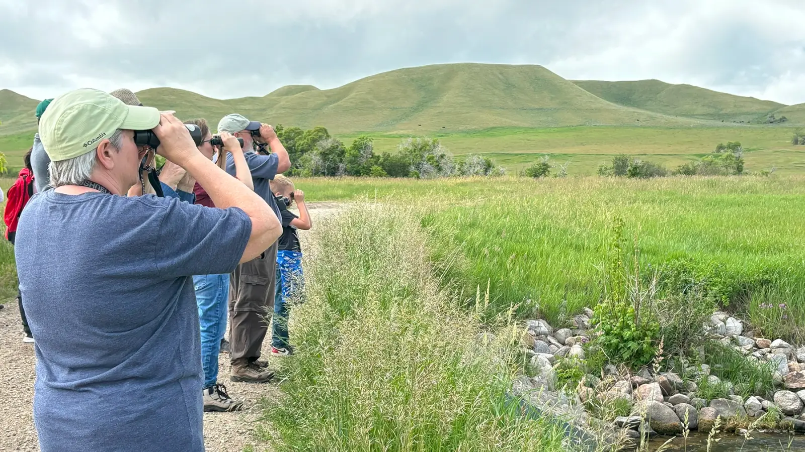 Bird Watching Spots in Johnson County Bird Watching Spots in Johnson County