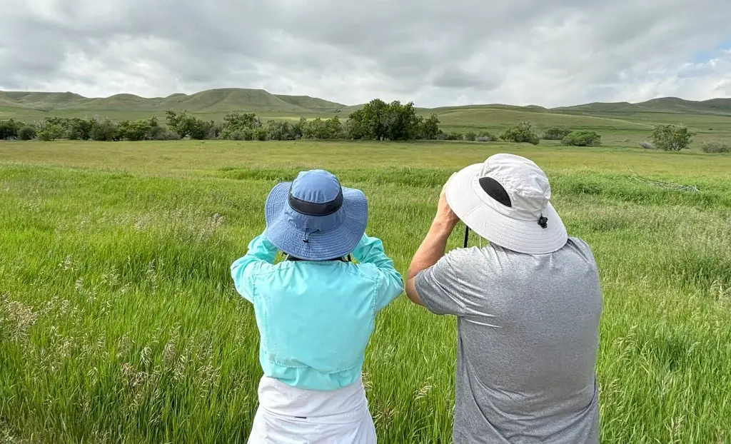Bird Watching Spots in Johnson County Bird Watching Spots in Johnson County