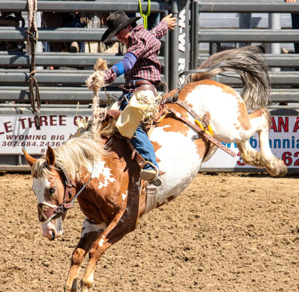 Date night at a rodeo in Buffalo, Wyoming