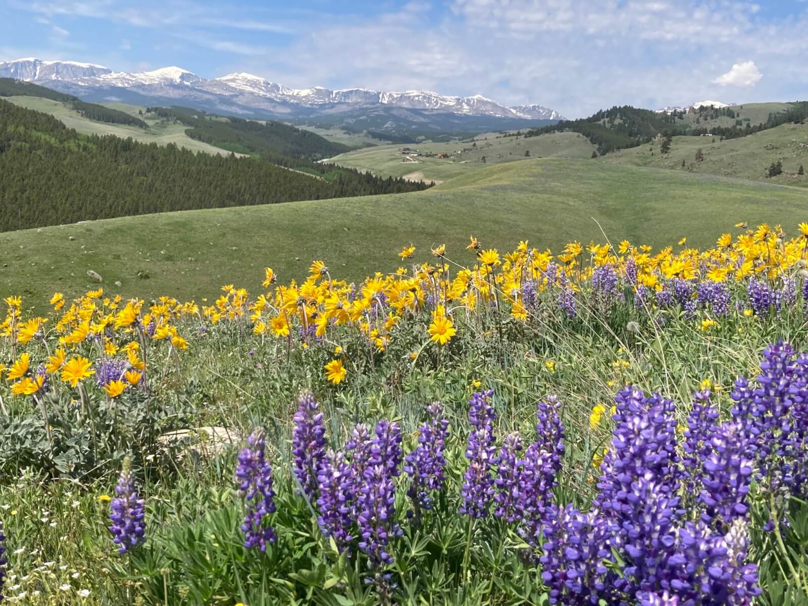Summer Itinerary Page