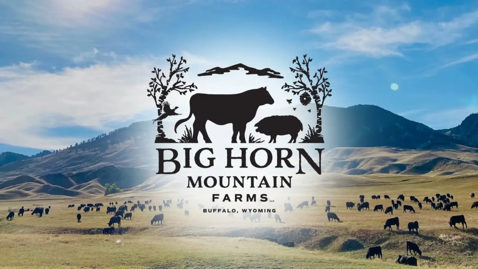 Big Horn Mountain Farms