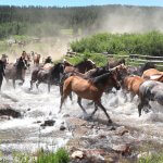 Longmire Days (Day 4)
