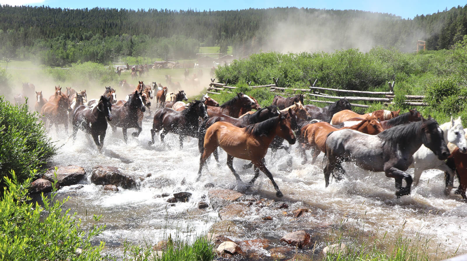 Longmire Days (Day 4) Longmire Days (Day 4)